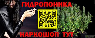 герыч Краснодар