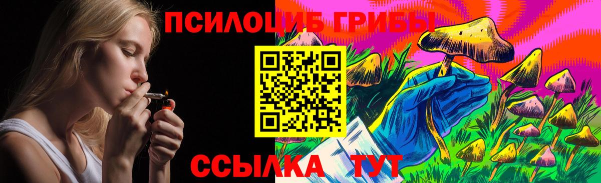 Галлюциногенные грибы мицелий  Галлюциногенные грибы Cubensis  Вход с VPN  Корсаков 